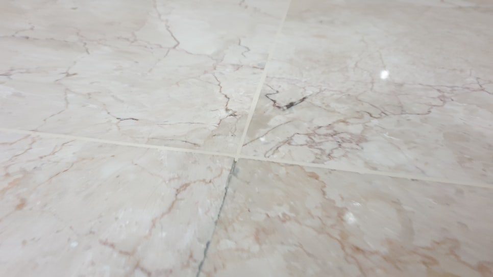 완성 클로즈업 1